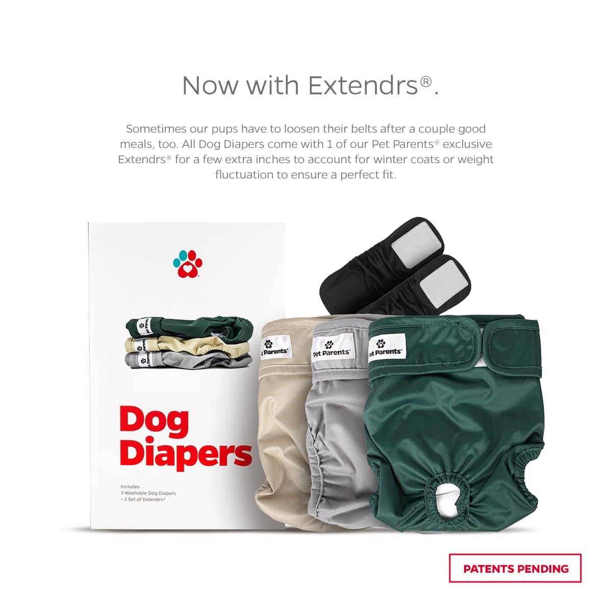 Pet Parents Washable Dog Diapers (3Pack) + Extendrs Of Durable Doggie Diapers, Premium Dog Diapers Female (X-Small, Spruce)